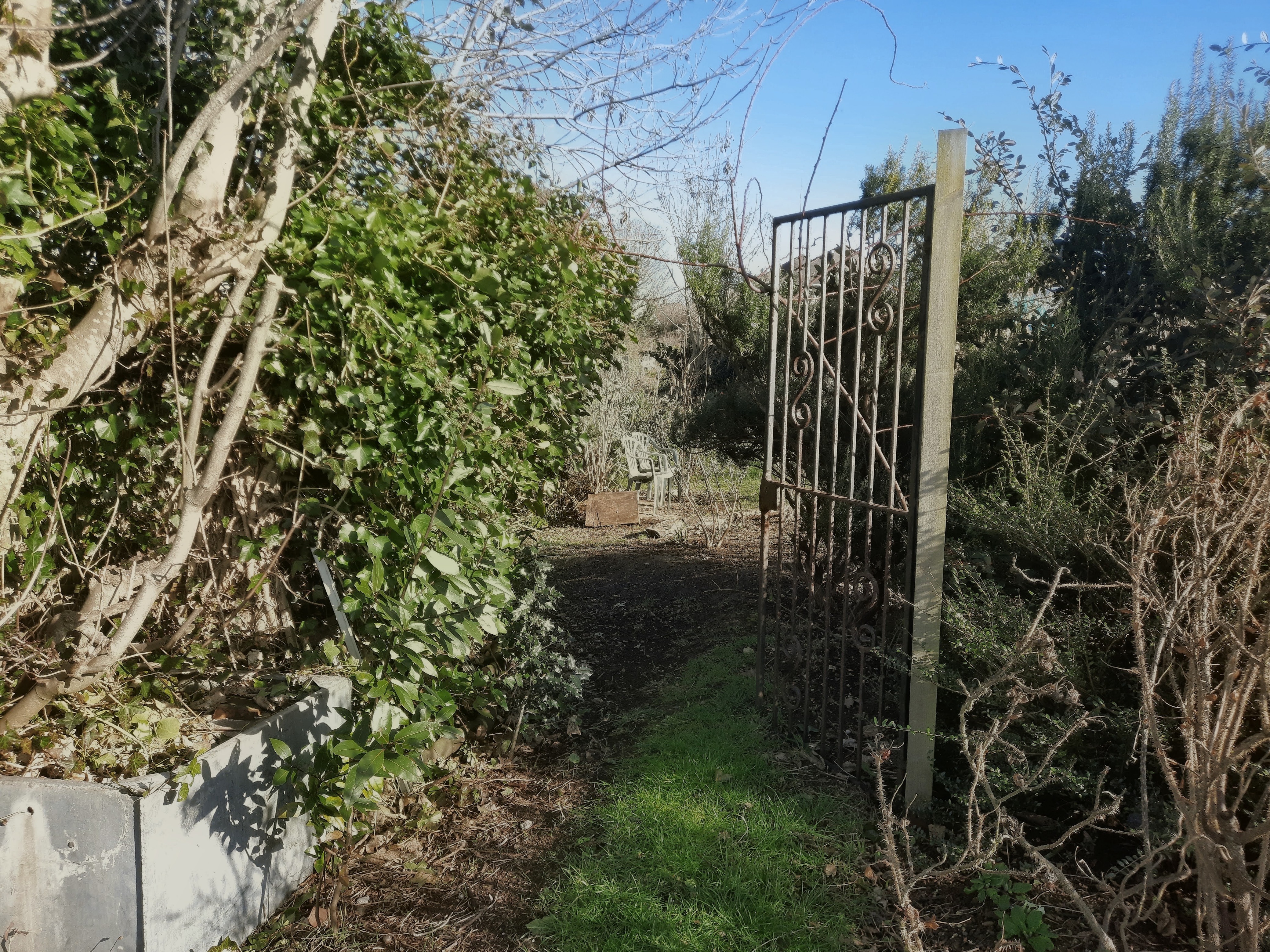 The Wilderness at Seaford Allotment Society