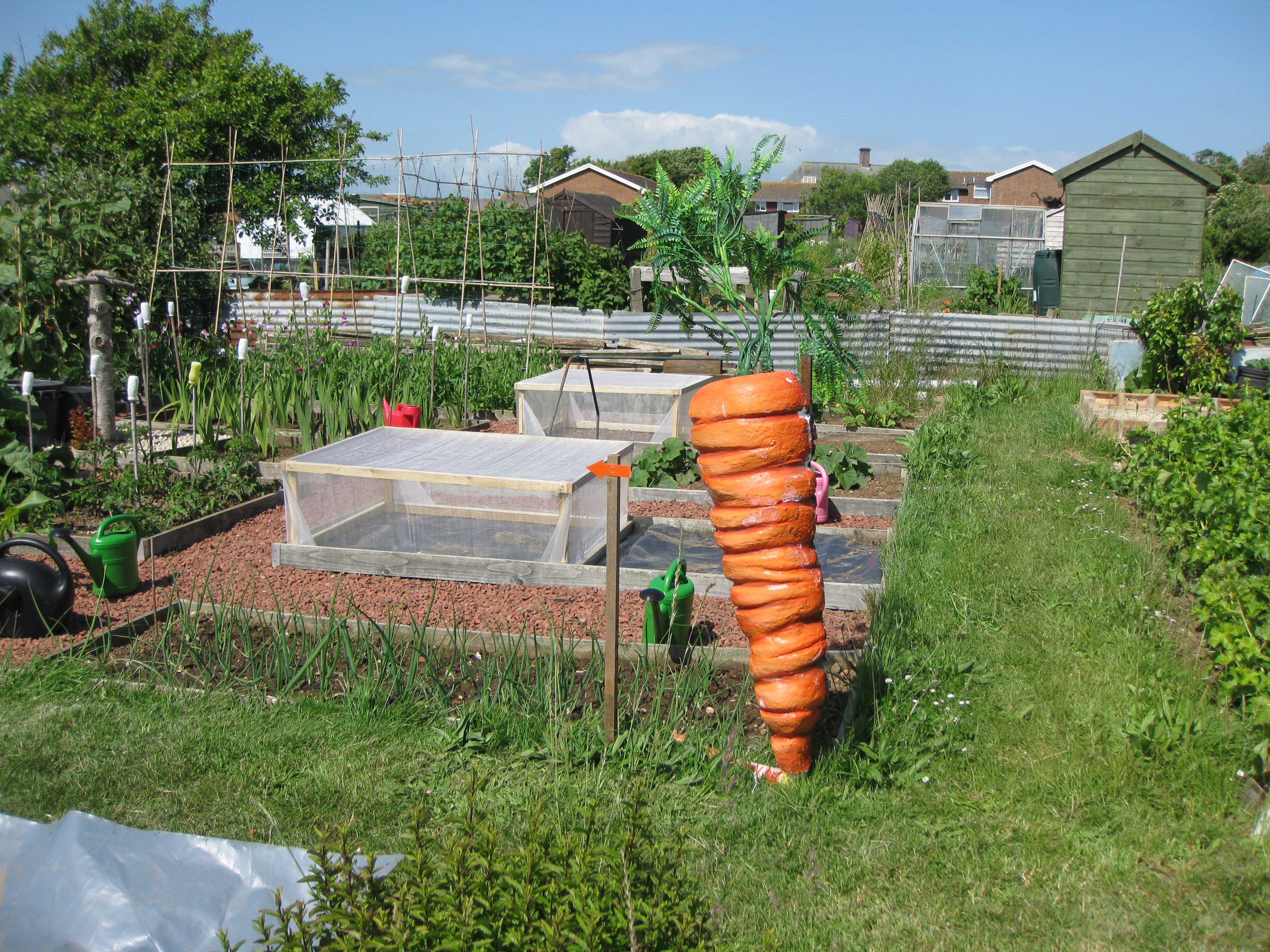 Seaford Allotments