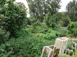 The Wilderness area before restoration
